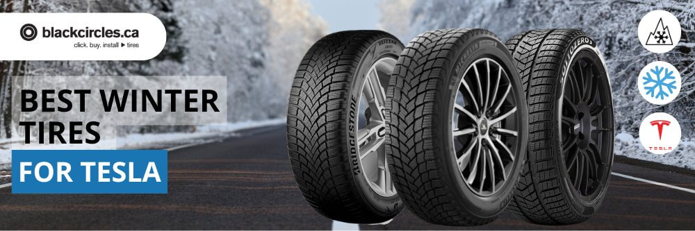 best winter tires for tesla