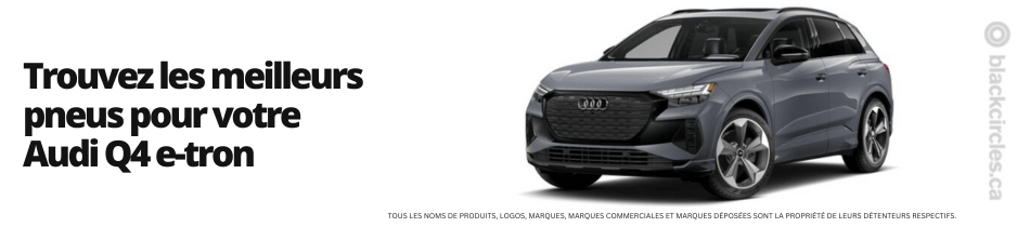 pneus audi Q4 e-tron